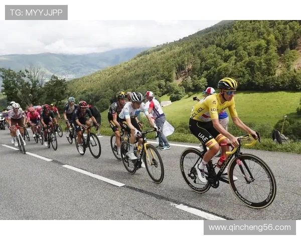 18环法自行车赛成绩(2019环法自行车赛第20赛段)sports